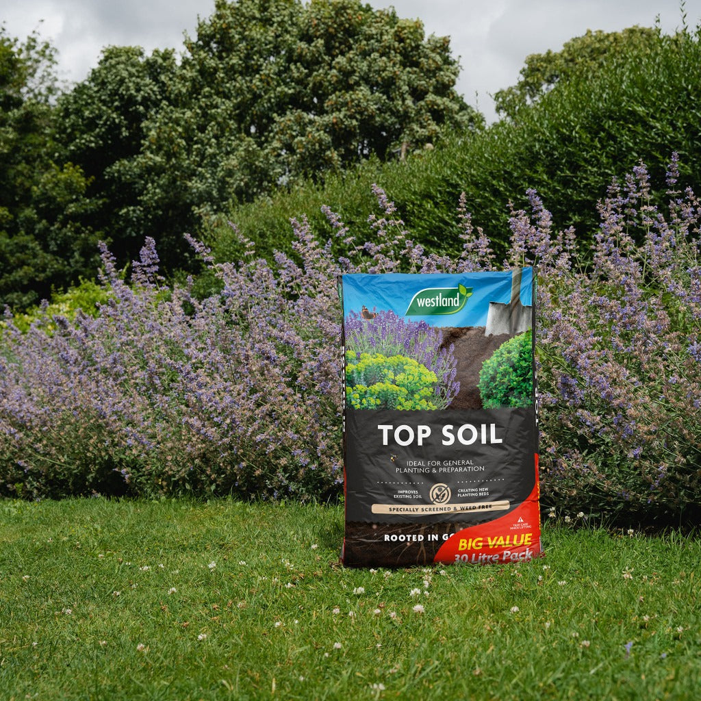 Westland Top Soil 30L