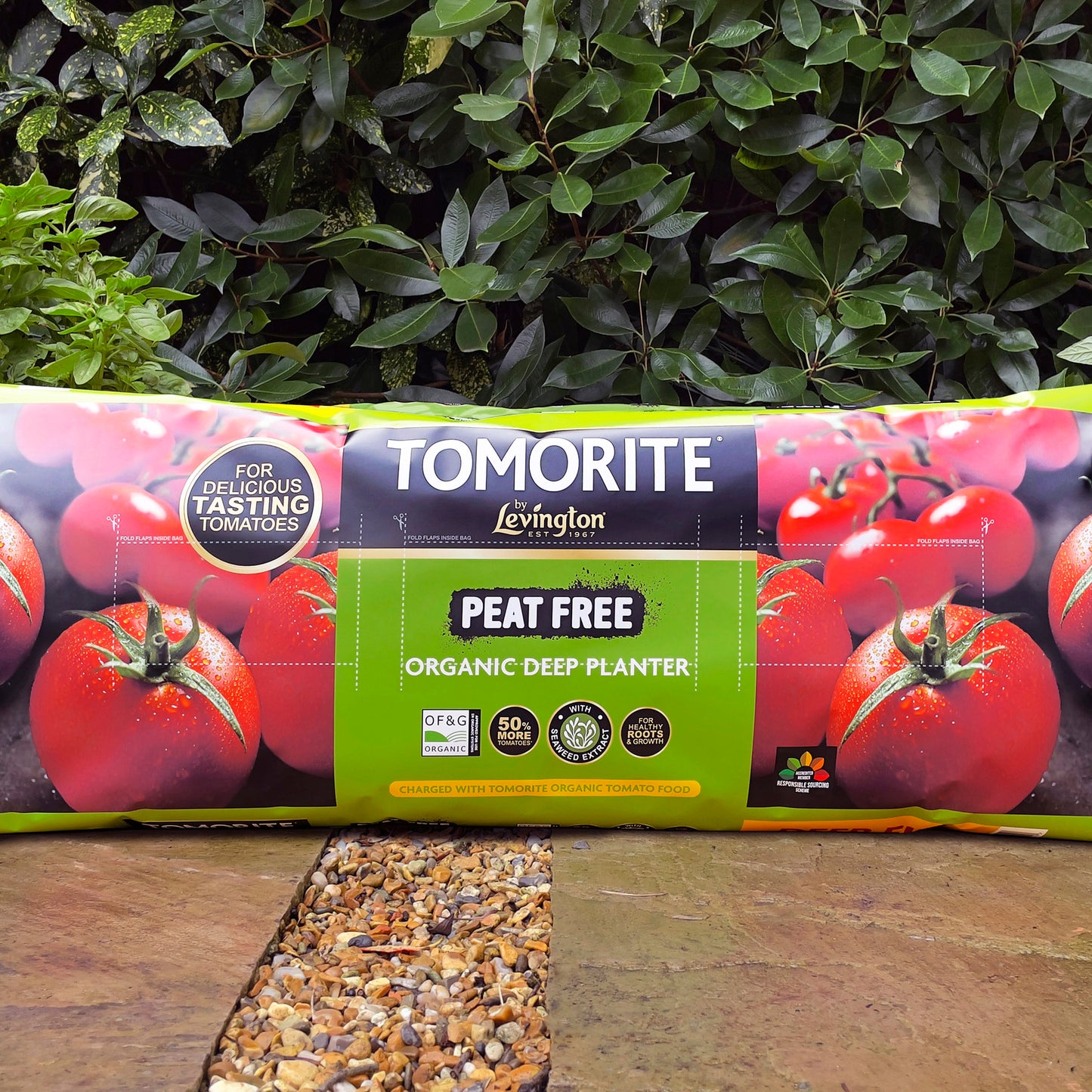 Levington Tomorite Peat Free Organic Deep Planter 42 Litres (3 plant size)