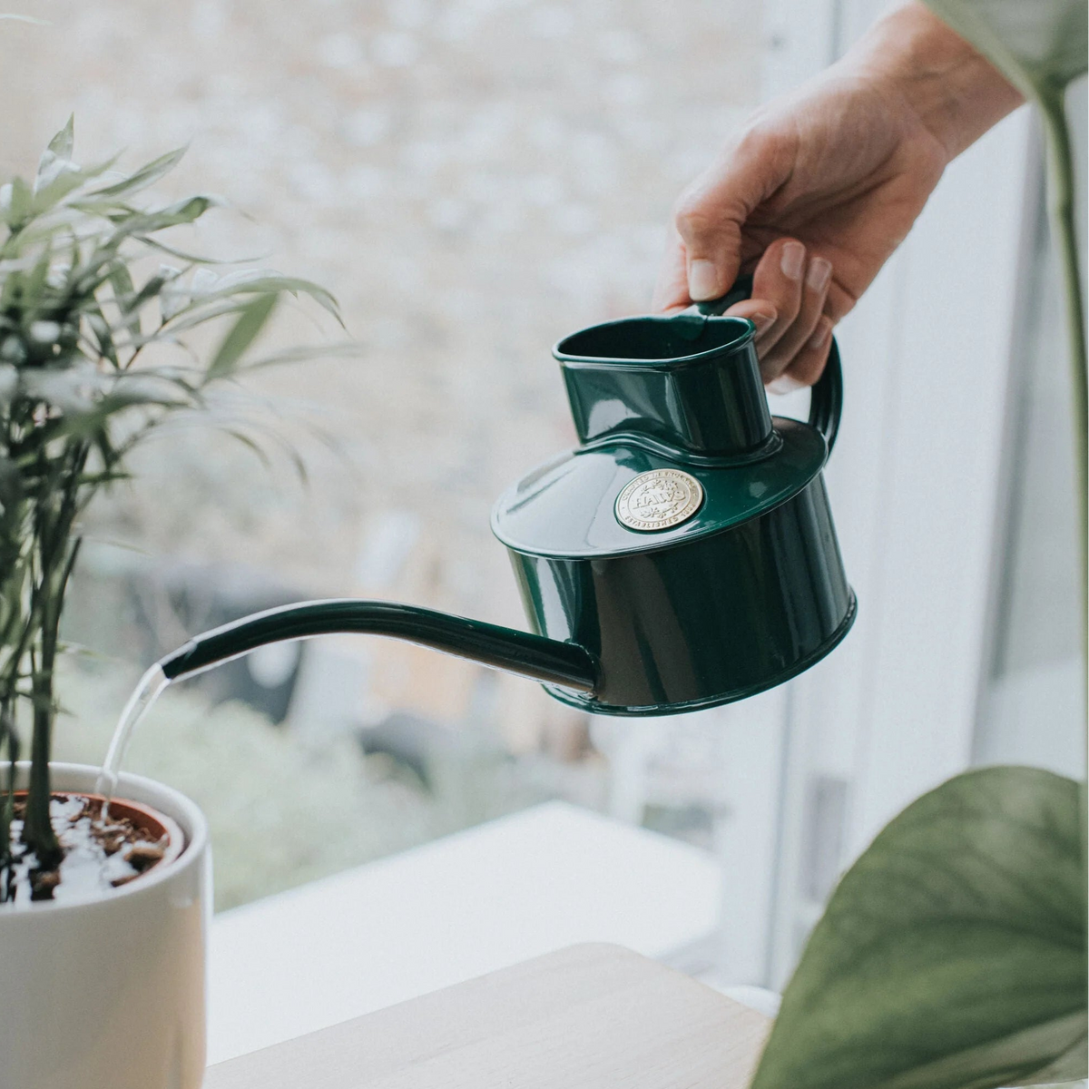 Haws The Fazeley Flow 0.5L metal watering can with long curved spout and loop handle