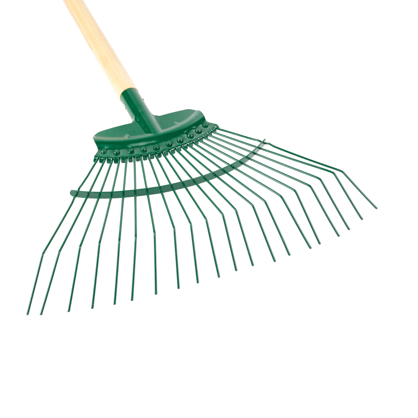 Carters Rake Professional 20 Tine Spring Lawn x 48" Ash Plain