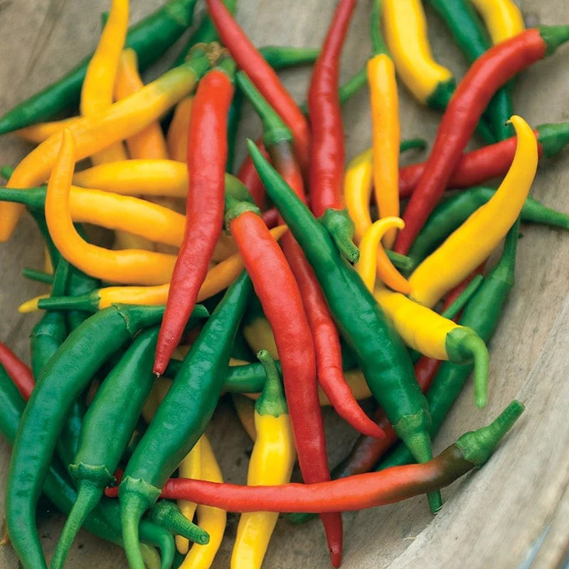 Fothergill's Pepper Hot Devil's Brew Vegetable Seeds