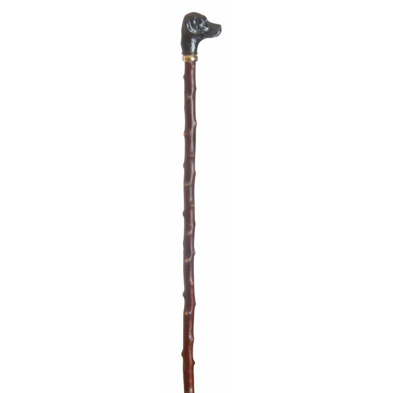 Classic Canes Labrador Retriever Blackthorn Long Cane