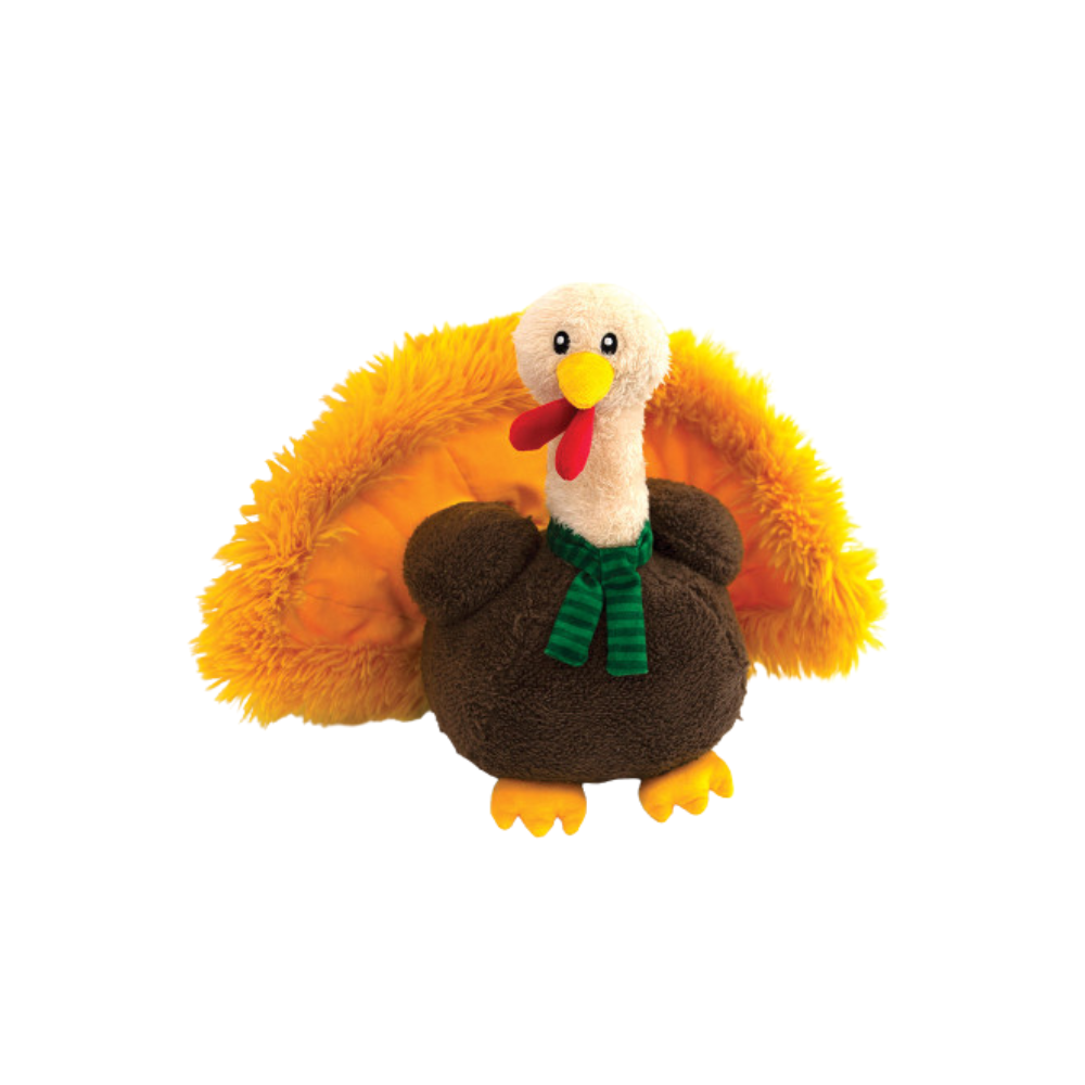Happy Pet Dog Toy Terry the Turkey