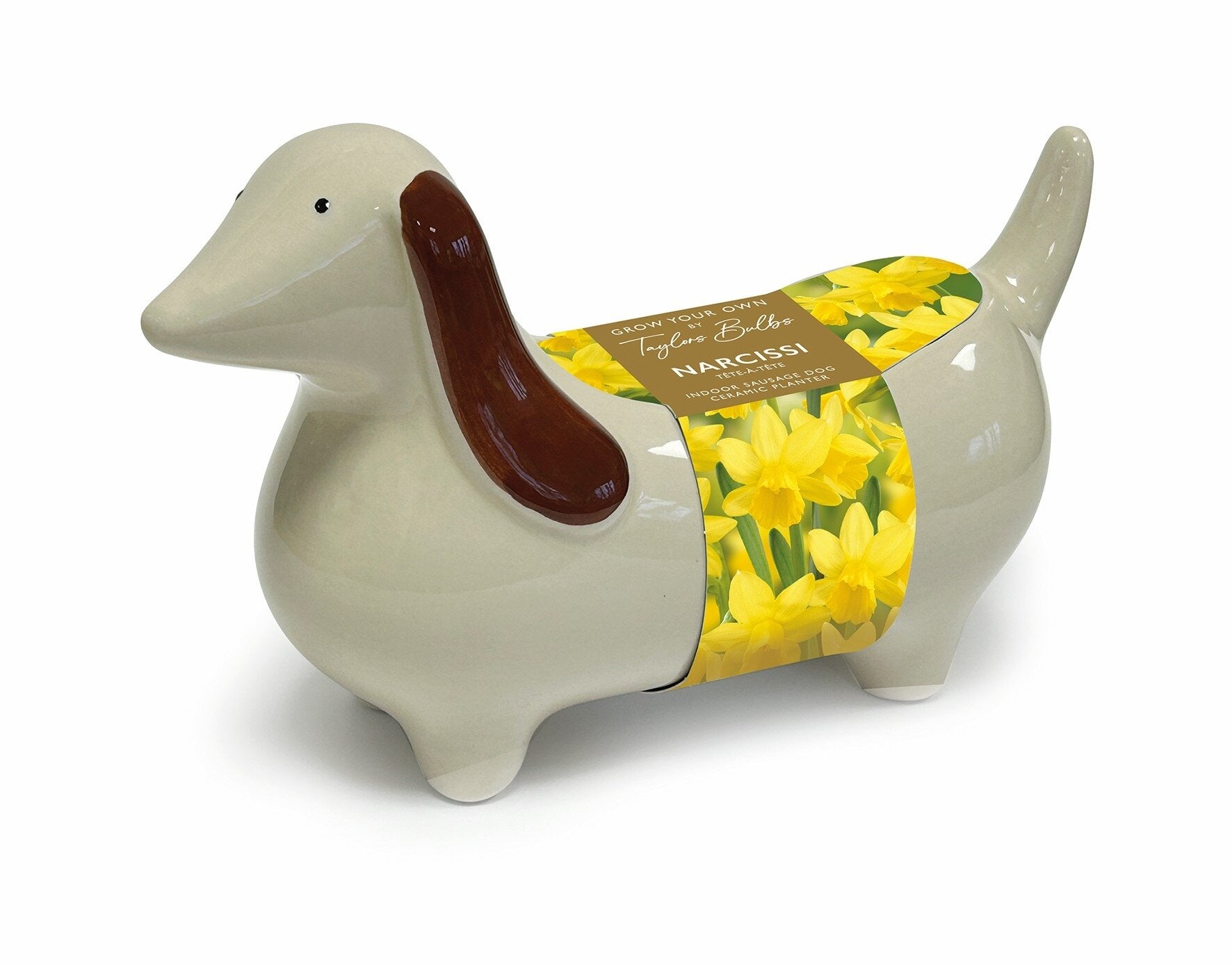 indoor dog planter Taylors Bulbs Indoor Sausage Dog Ceramic Planter – Sam Turner & Sons