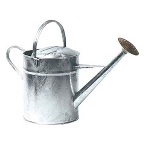 Ambassador Galvanised Watering Can 9L 2 Gallon