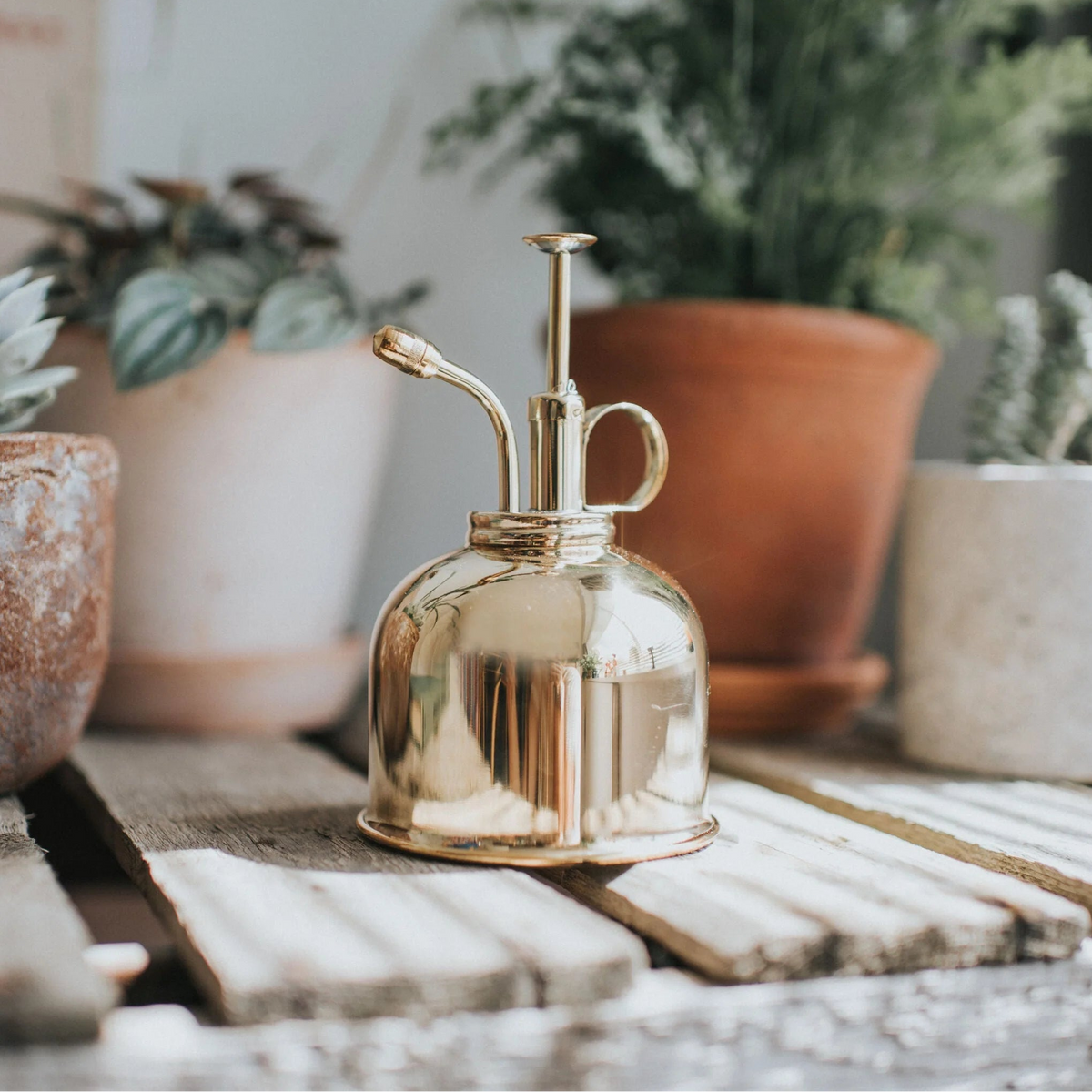 Haws The Rowley Ripple metal watering can with matching brass mist spritzer