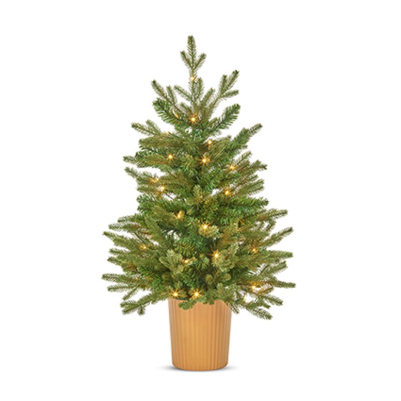 Premier #90cm Potted Eldon Fir 50 LEDs