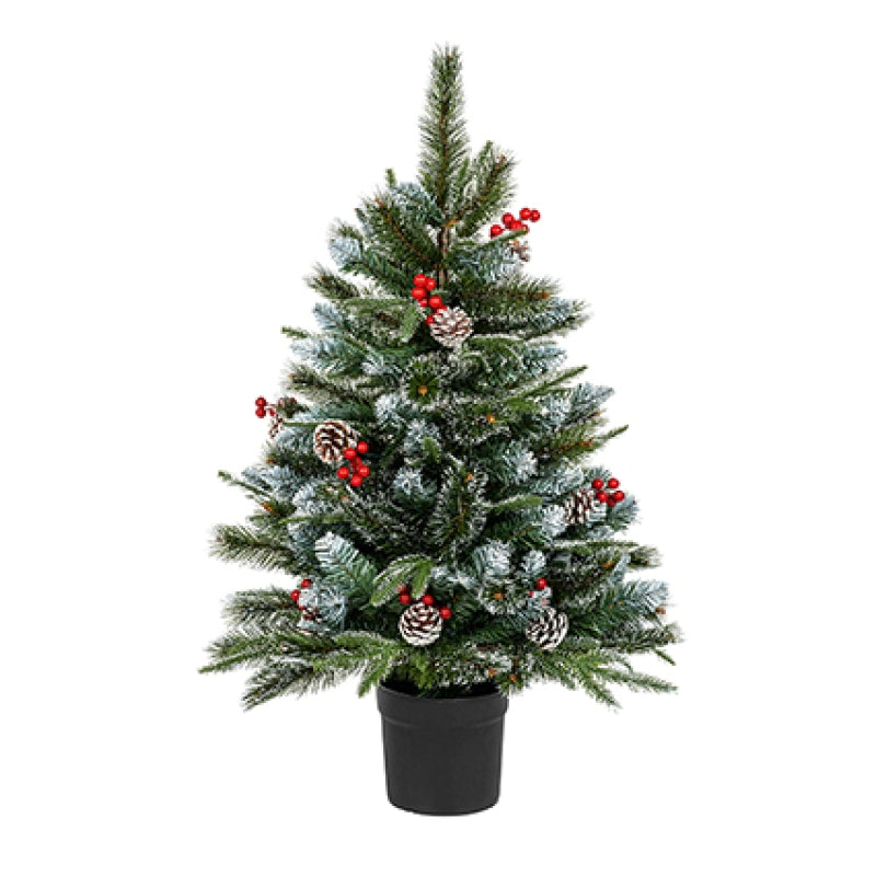 Premier 90cm New Jersey Spruce