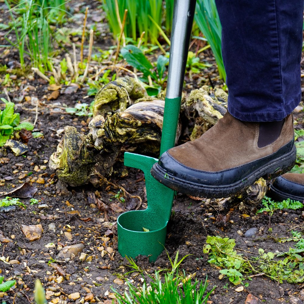 Bulldog Bulb Planter - 152mm Head