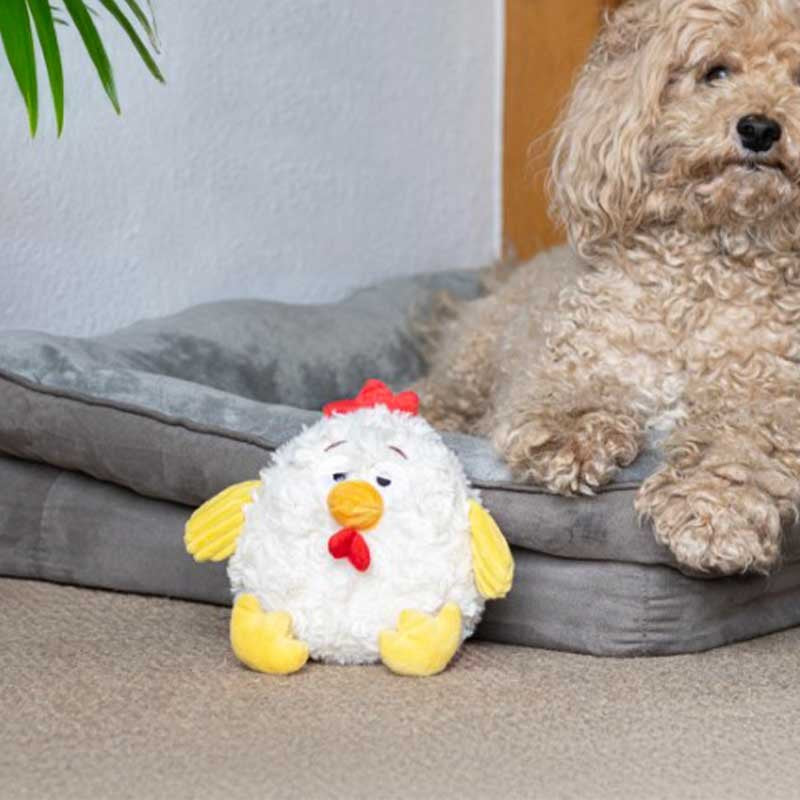 Dog Toy Cluck ChewPal