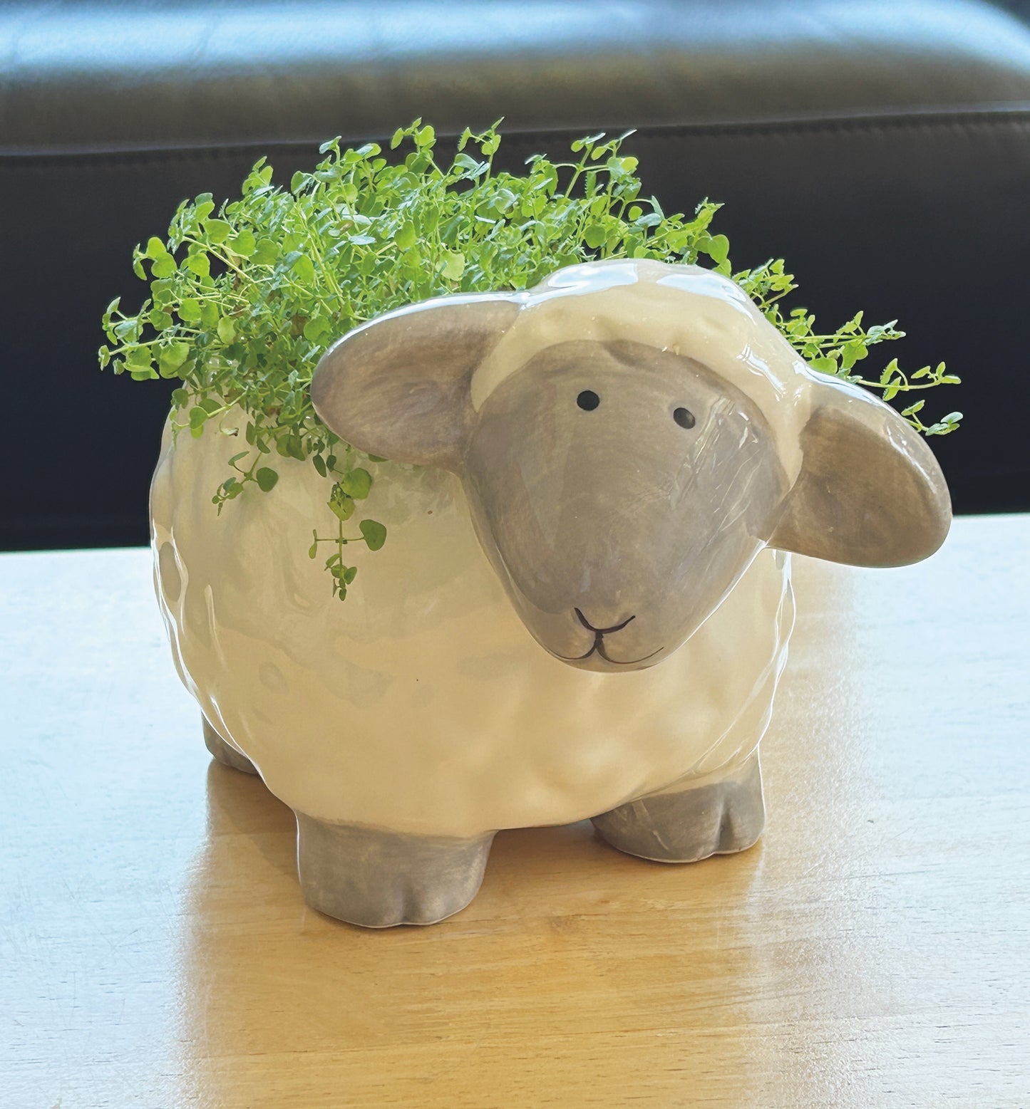 Sheep Planter