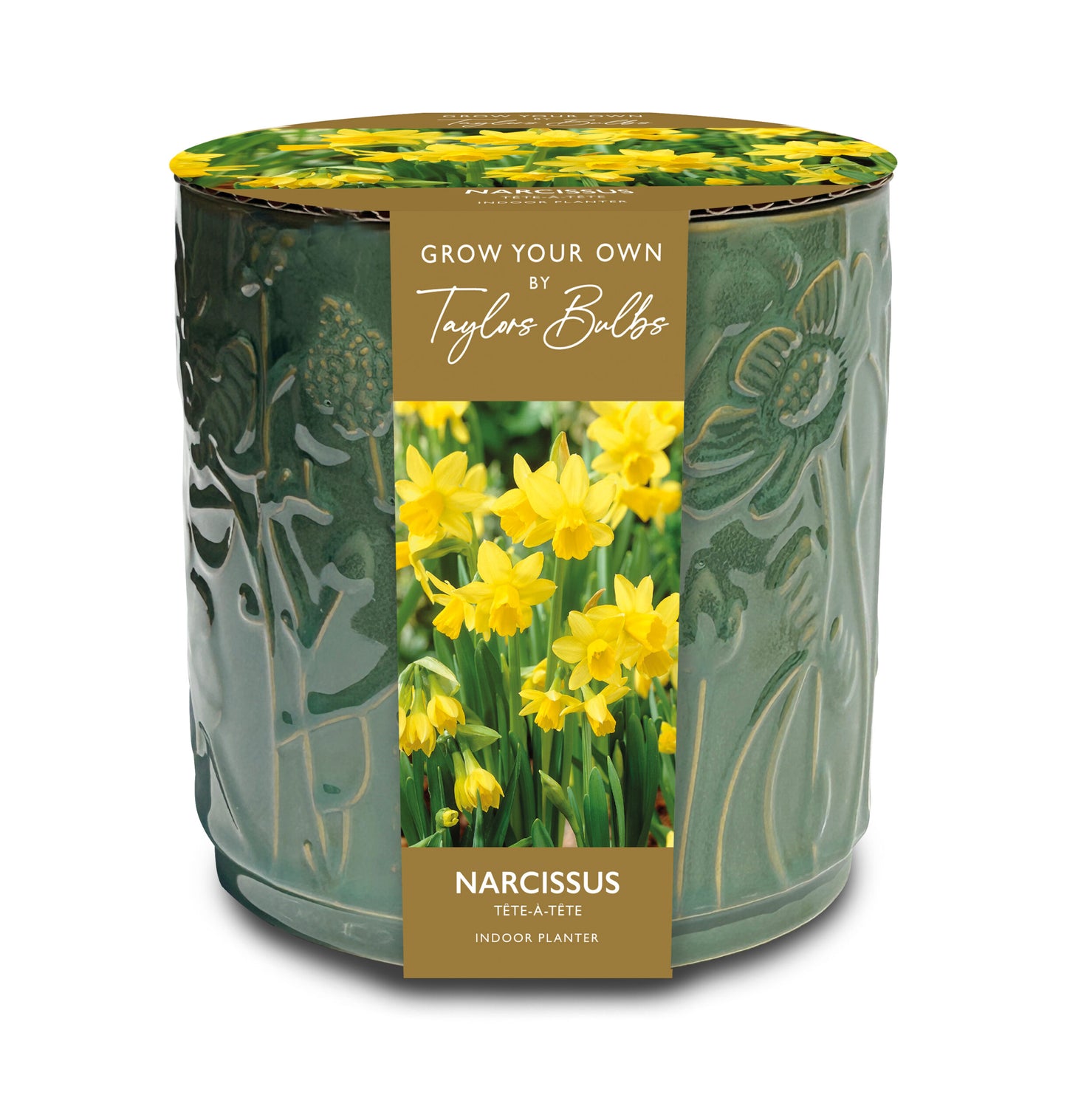 Taylors Bulbs Narcissus Tête-à-Tête Embossed Floral Ceramic Planter kit featuring a glossy sage green ceramic pot with raised botanical details and an image of blooming yellow daffodils.