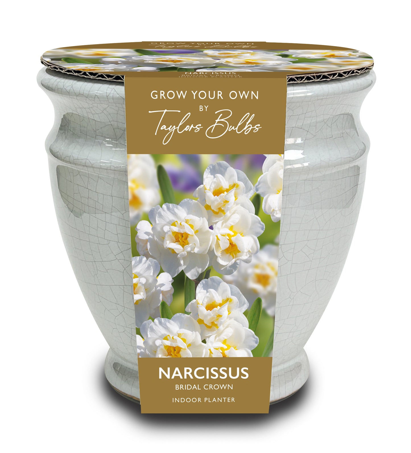 Taylors Bulbs - Narcissi Ceramic Crackle Urn