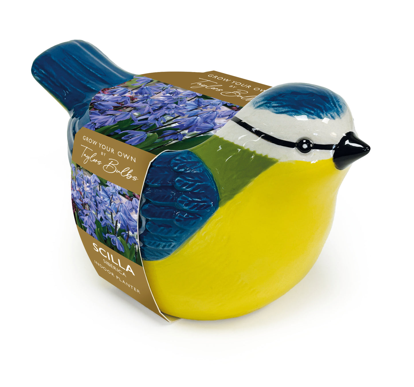 Taylors Bulbs - Novelty Blue Tit Planter