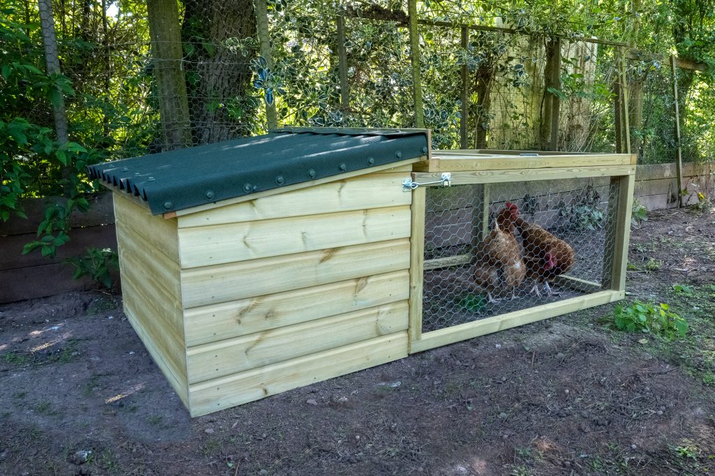 Forest Garden Chicken Coop and Run