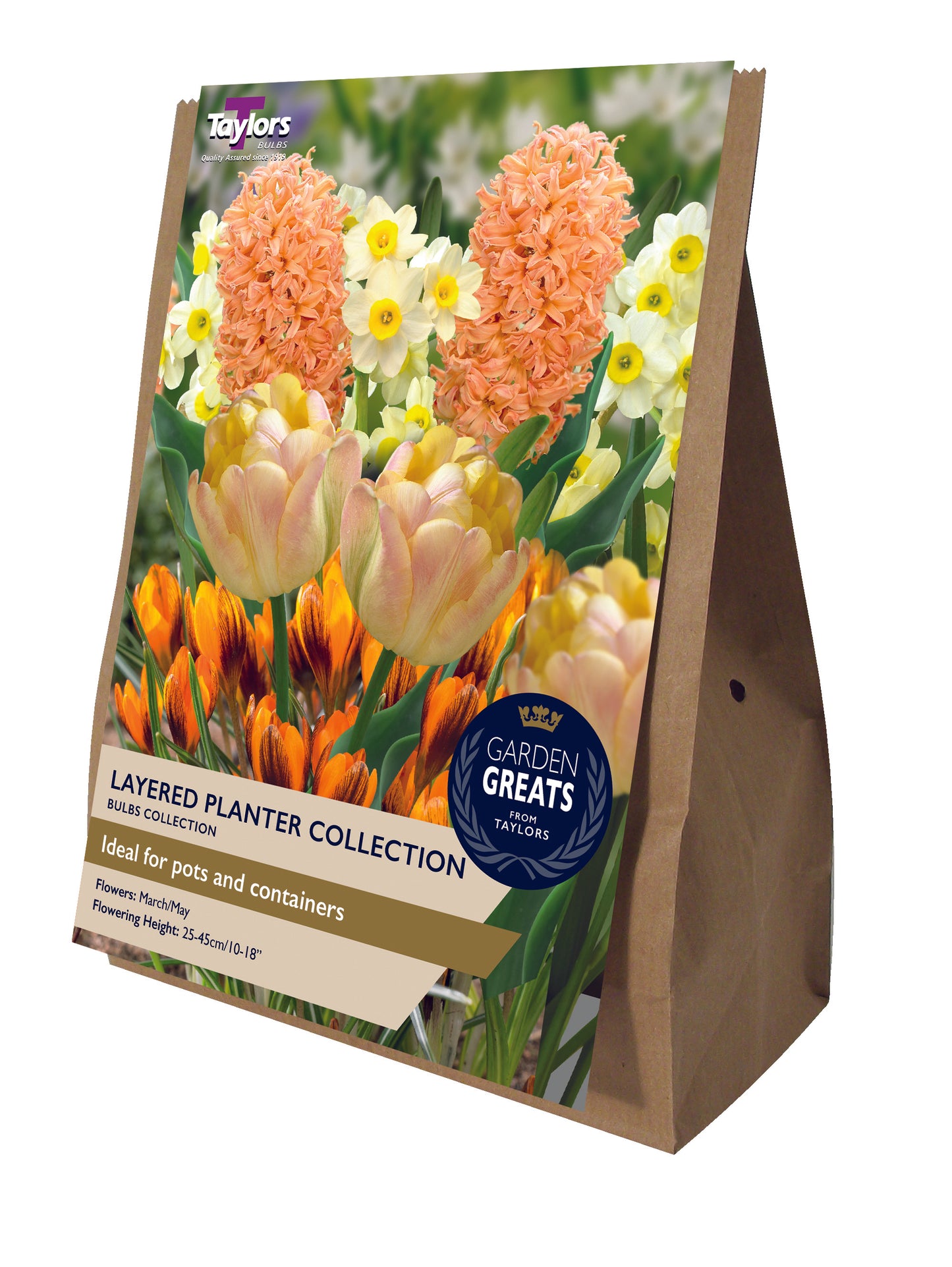 Taylors Bulbs Garden Greats Layered Planter Collection