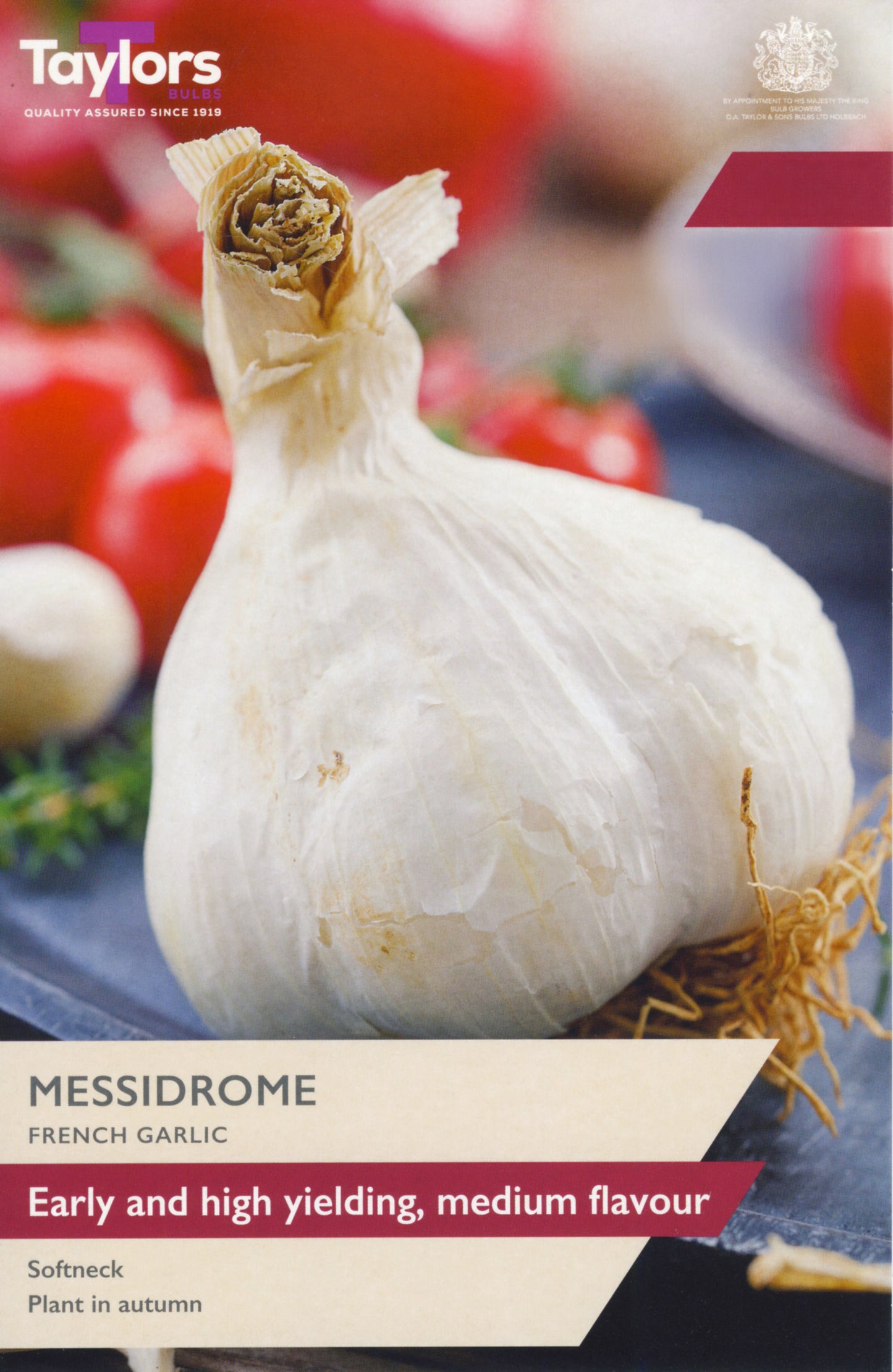 Taylors Bulbs - French Garlic Messidrome