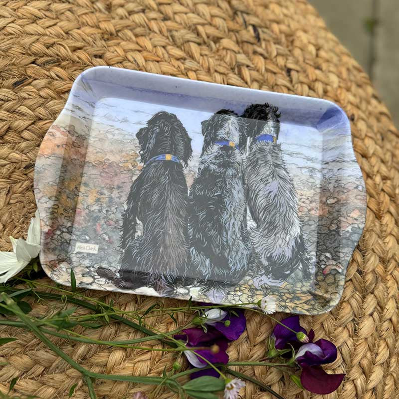 Alex Clark Spaniels By The Sea Small Melamine Tray