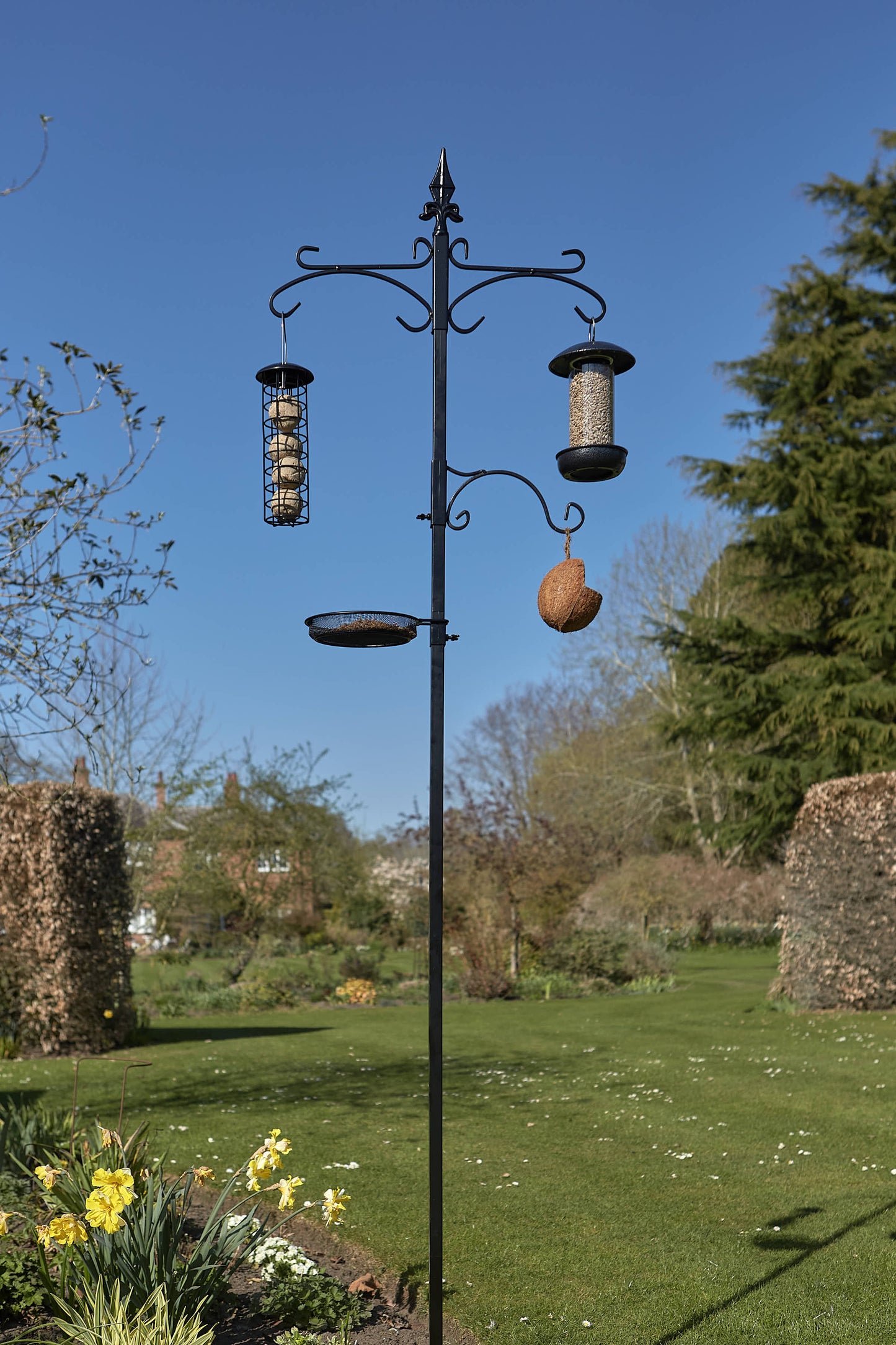 Tom Chambers Piazza Bird Station