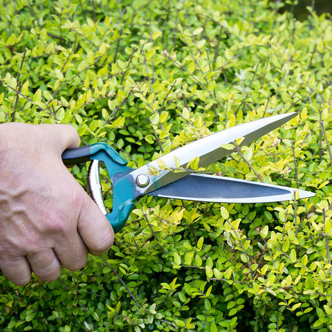 Burgon & Ball Shrub Shear