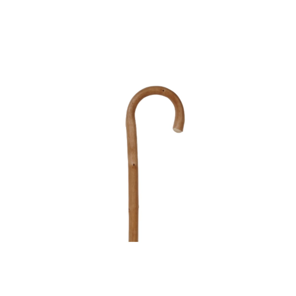 Charles Buyers natural chestnut walking stick with traditional steam bent crook handle and metal ferrule