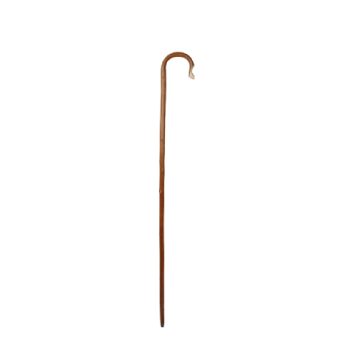 Charles Buyers 4 foot 6 inch natural chestnut wooden shepherds crook stick with curved hook handle and protective metal ferrule