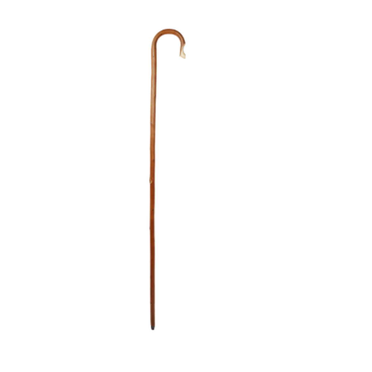 Charles Buyers five foot natural chestnut wooden shepherds crook stick with steam bent hook handle and metal ferrule