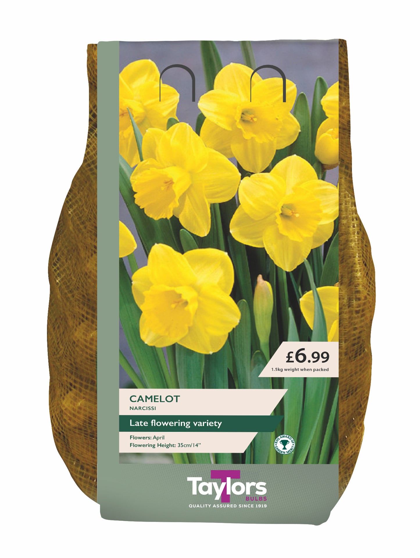 Narcissi Camelot Carri-Pack