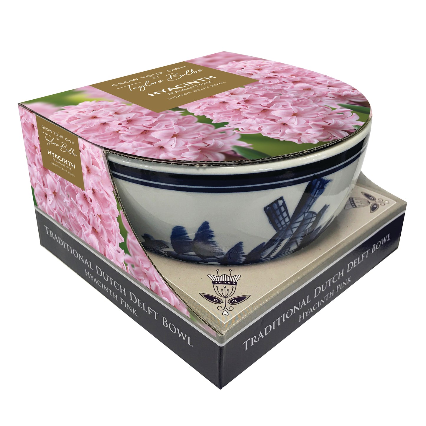 Taylors Bulbs Indoor Delft Bowl Pink Hyacinth Set