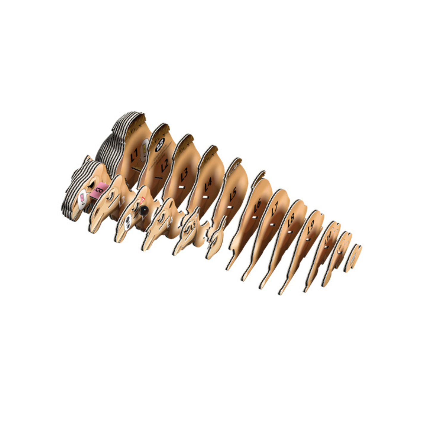 EUGY Camel 3D Card Model Kit