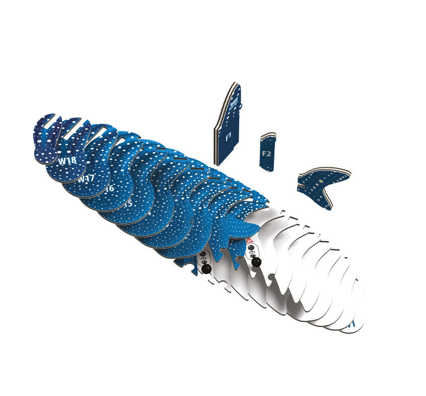 EUGY Whale Shark 3D Card Model Kit