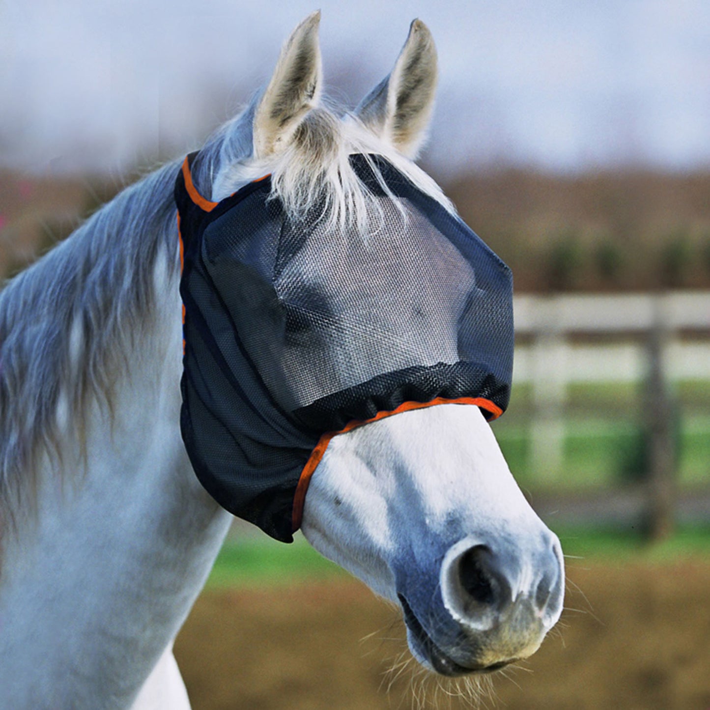 Equilibrium Field Relief Midi Fly Mask-no-ears