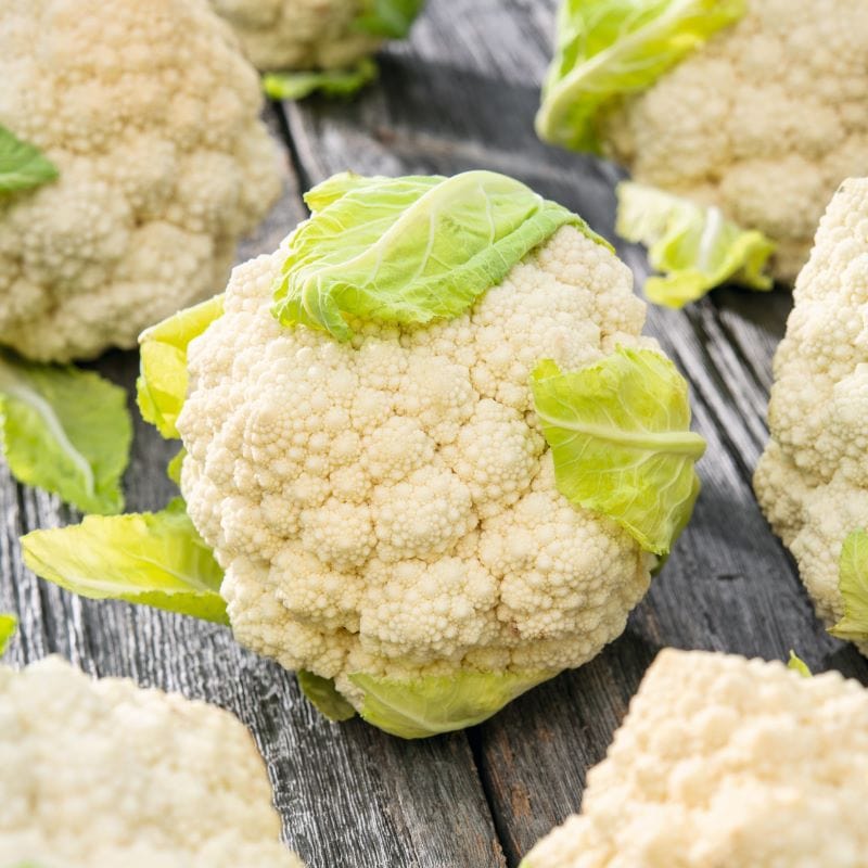Fothergill's Cauliflower Tulio F1 Seeds