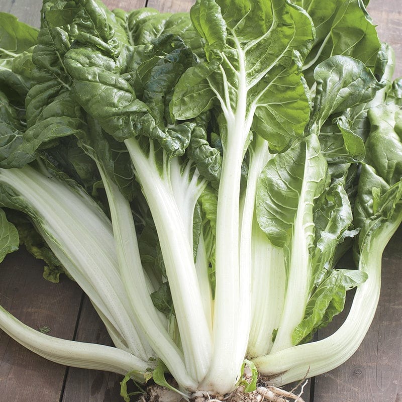 Fothergill's Chard White Silver 2 Seeds