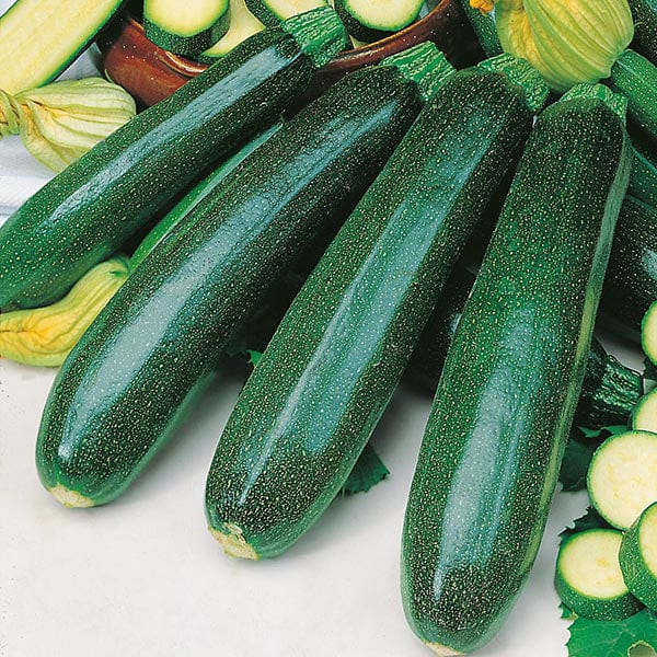 Fothergill's Courgette Zucchini Seeds