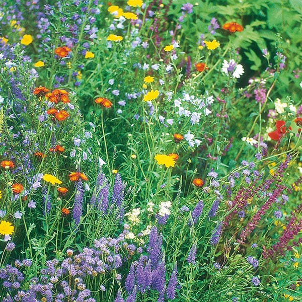 Fothergill's Nature's Helpers Wildflower Wildlife Seeds