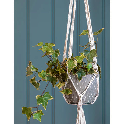 Burgon and Ball Macrame Hanger with Pot