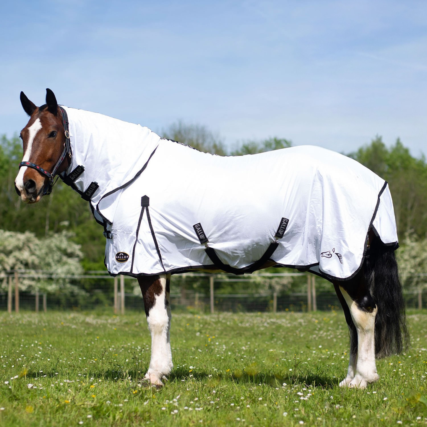 Gallop Classic Combo White Fly Rug
