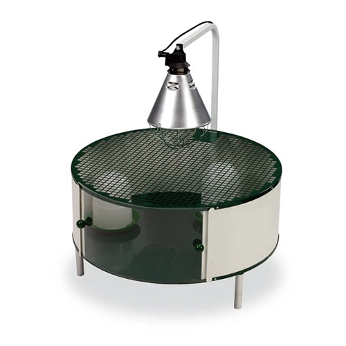 Gaun Chick Brooding Cage