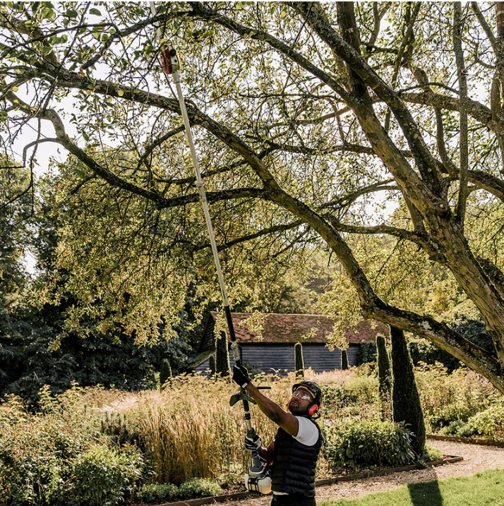 Honda Split Shaft Chainsaw Pruner