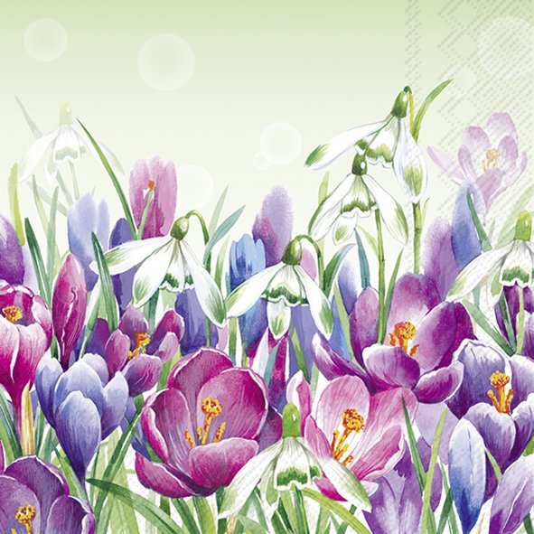 IHR Light Green Crocus Lunch Napkins