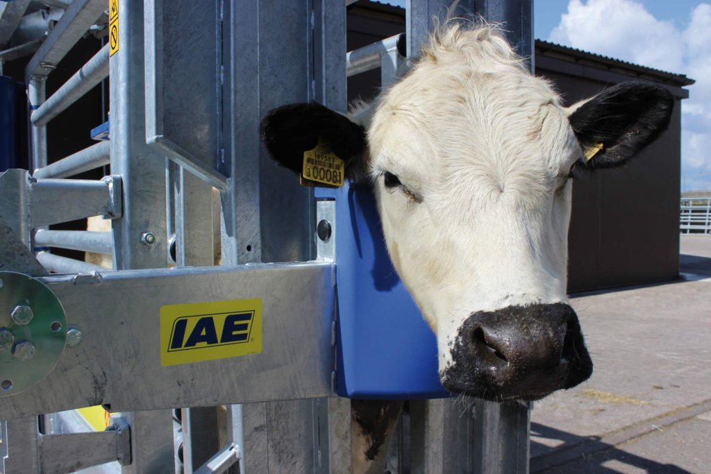 IAE Superscoop MK 4.5 Scoop Fitting Kit for M800