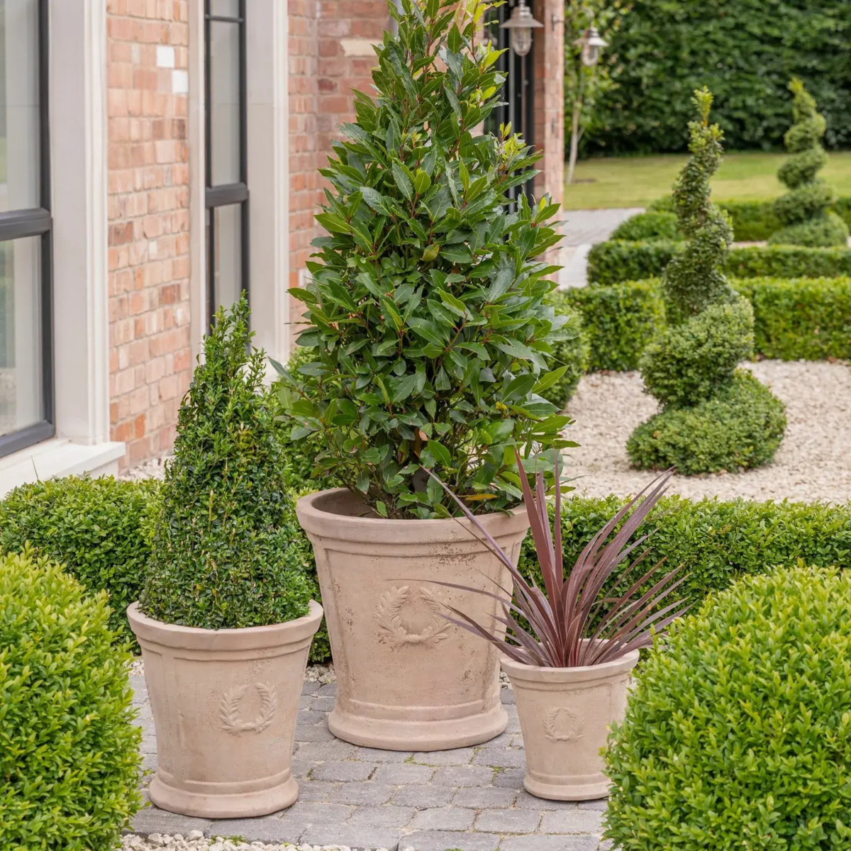 Ivyline Rhodes tapered whitewashed terracotta outdoor garden planter featuring a decorative laurel wreath relief planted with an evergreen bay tree
