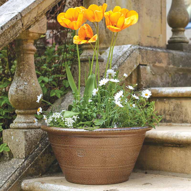 Errington Reay Salt Glazed Low Bowl