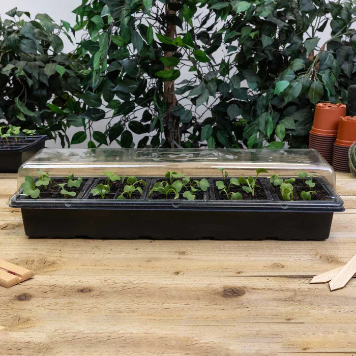 Bosmere Growers Choice Window Sill Greenhouse Propagator