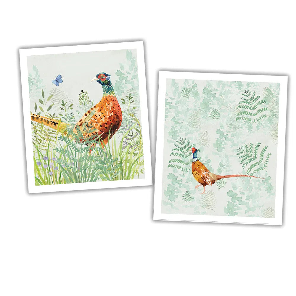 Eddingtons - National Trust Pheasant Plant Based Cleaning Cloths Set Of 2