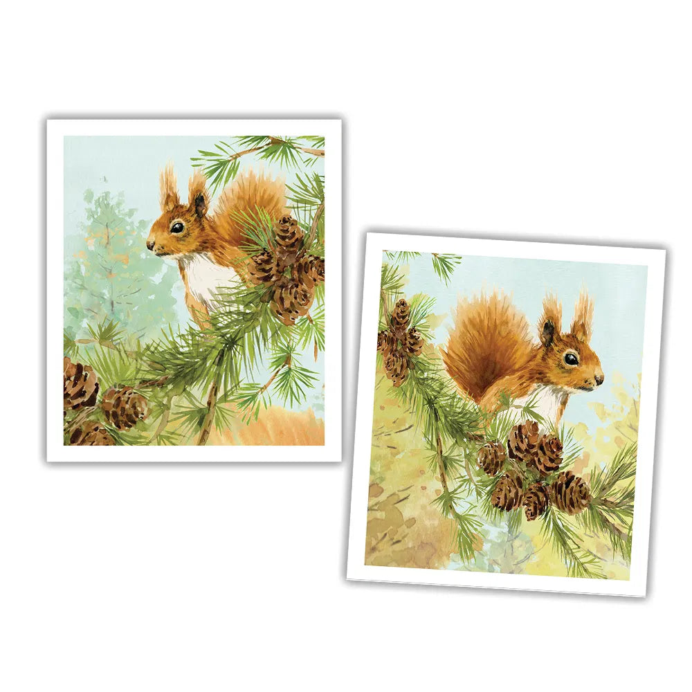 Eddingtons - National Trust Red Squirrel Plant Based Cleaning Cloths Set Of 2