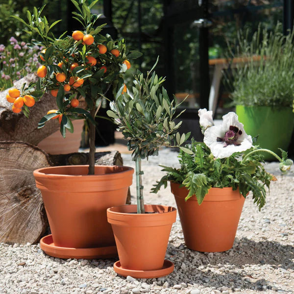 Woodlodge Standard Spang Plant Pot