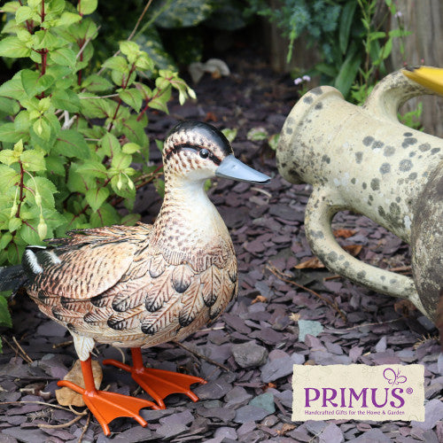 Primus Metal Farmyard Female Duck