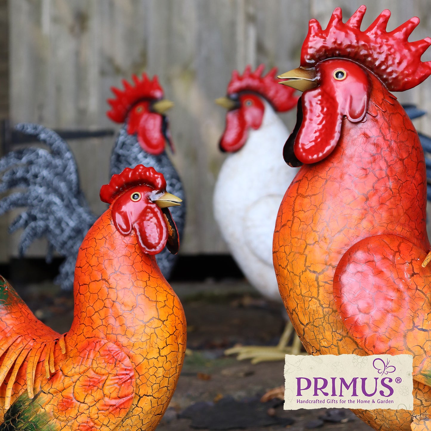 Primus Metal Red Hen
